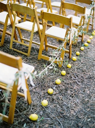 Lemonade Inspired Wedding